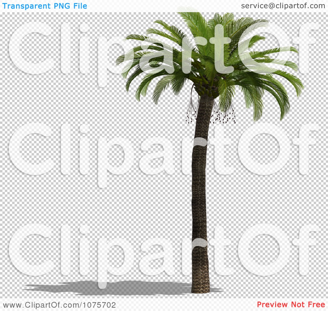 Clipart 3d Tropical Palm Tree 6 - Royalty Free CGI Illustration by