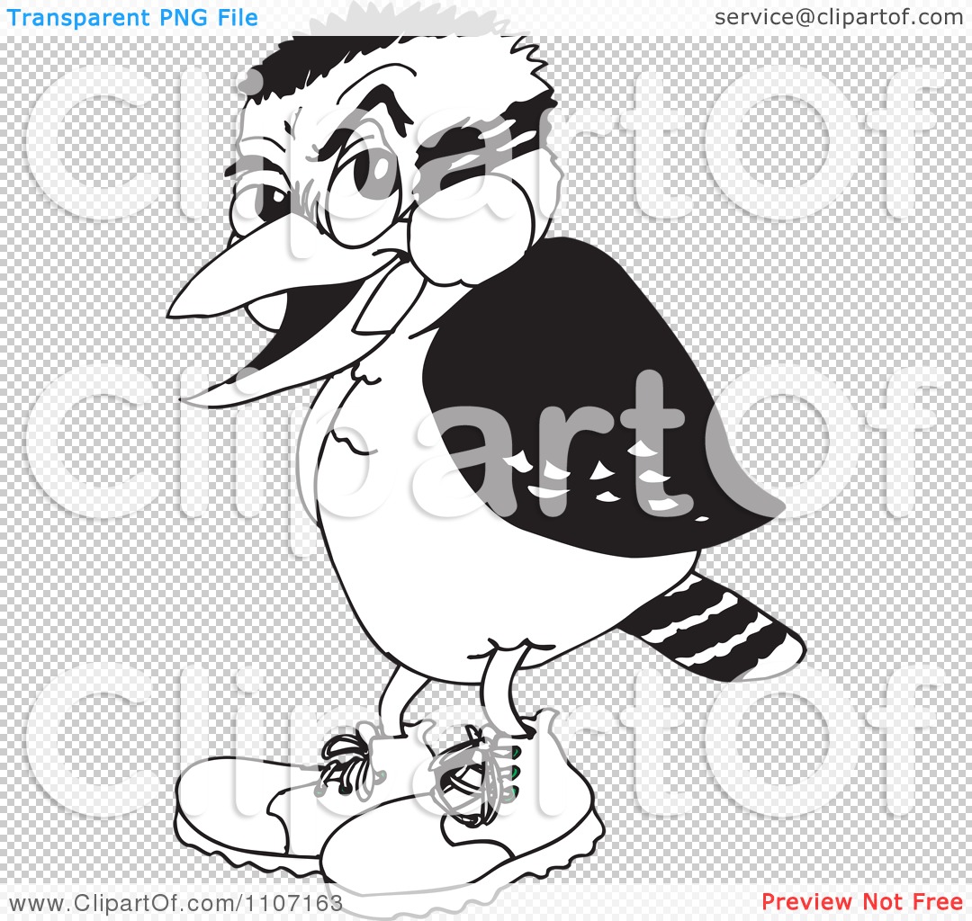 Clip Art Kookaburra