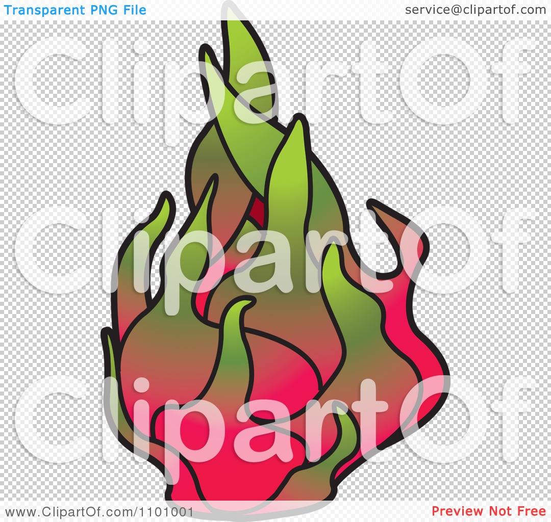 dragon fruit clipart free - photo #24