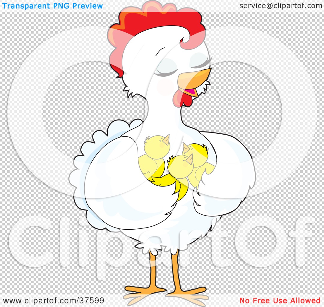 clipart mother hen - photo #10