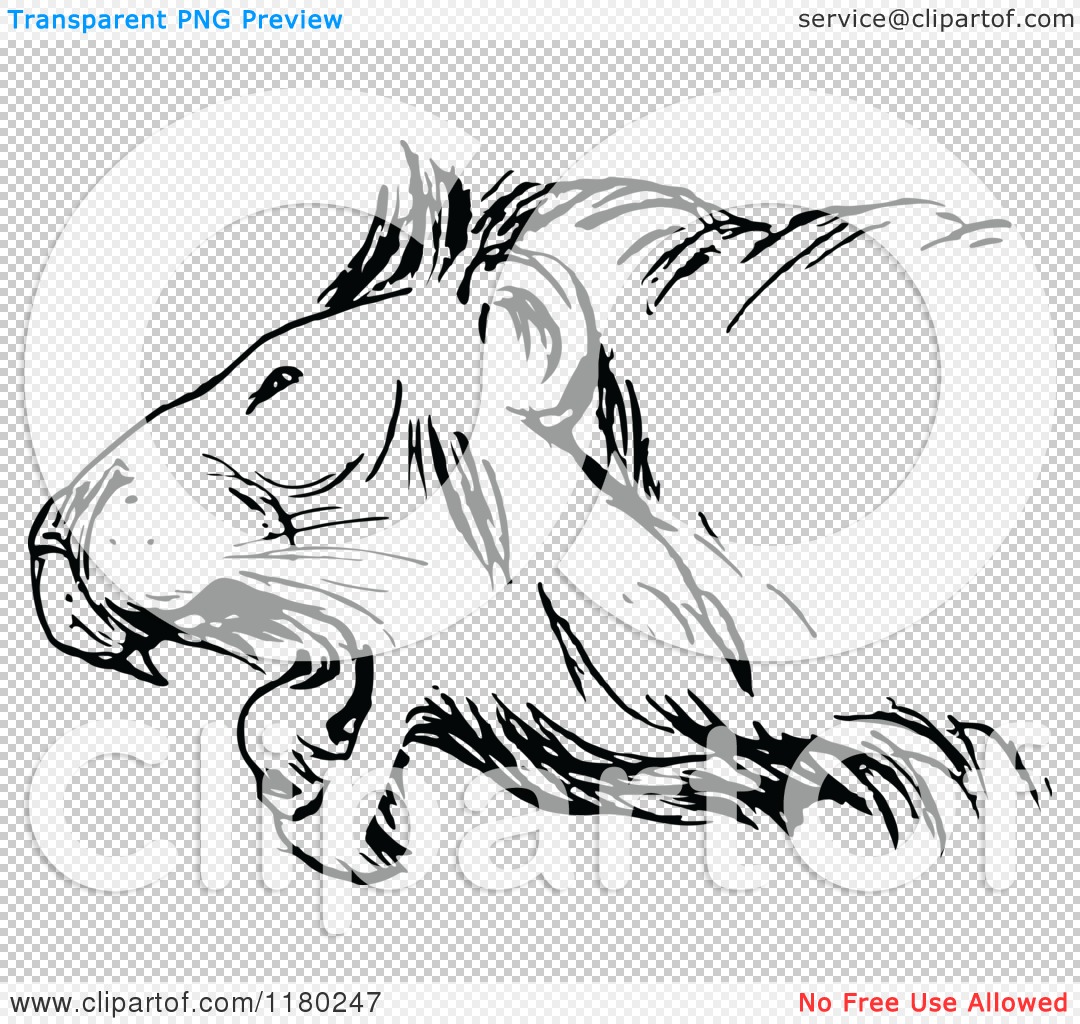  - Clipart-Of-A-Black-And-White-Roaring-Lion-Royalty-Free-Vector-Illustration-10241180247