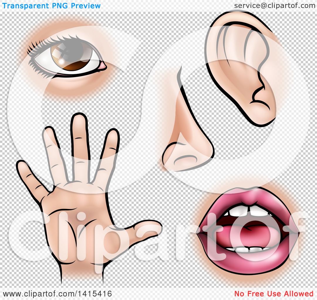 Clipart Of The Five Senses Sight Smell Hearing Touch And Taste