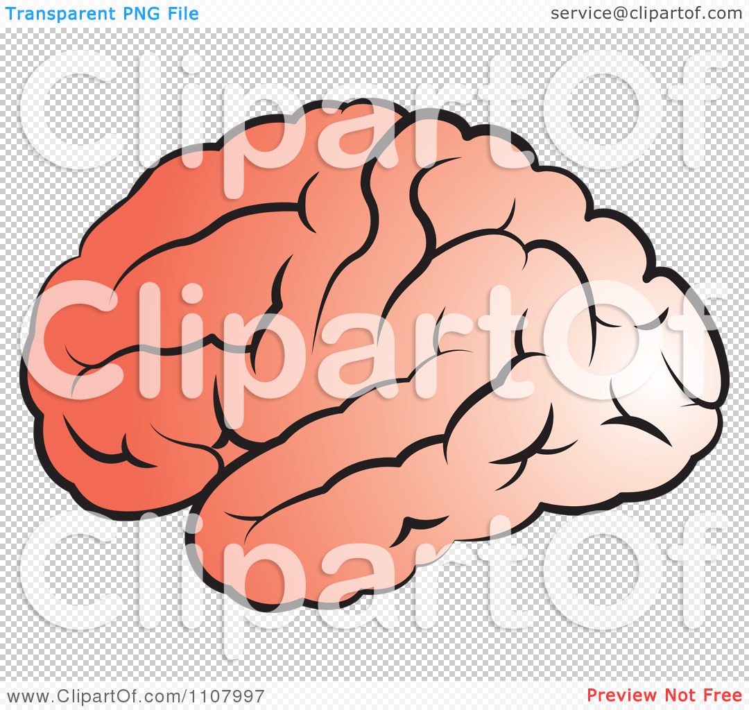clipart of human brain - photo #49
