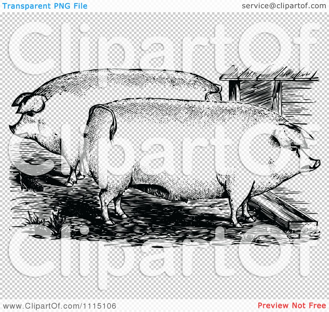 pig pen clipart - photo #26