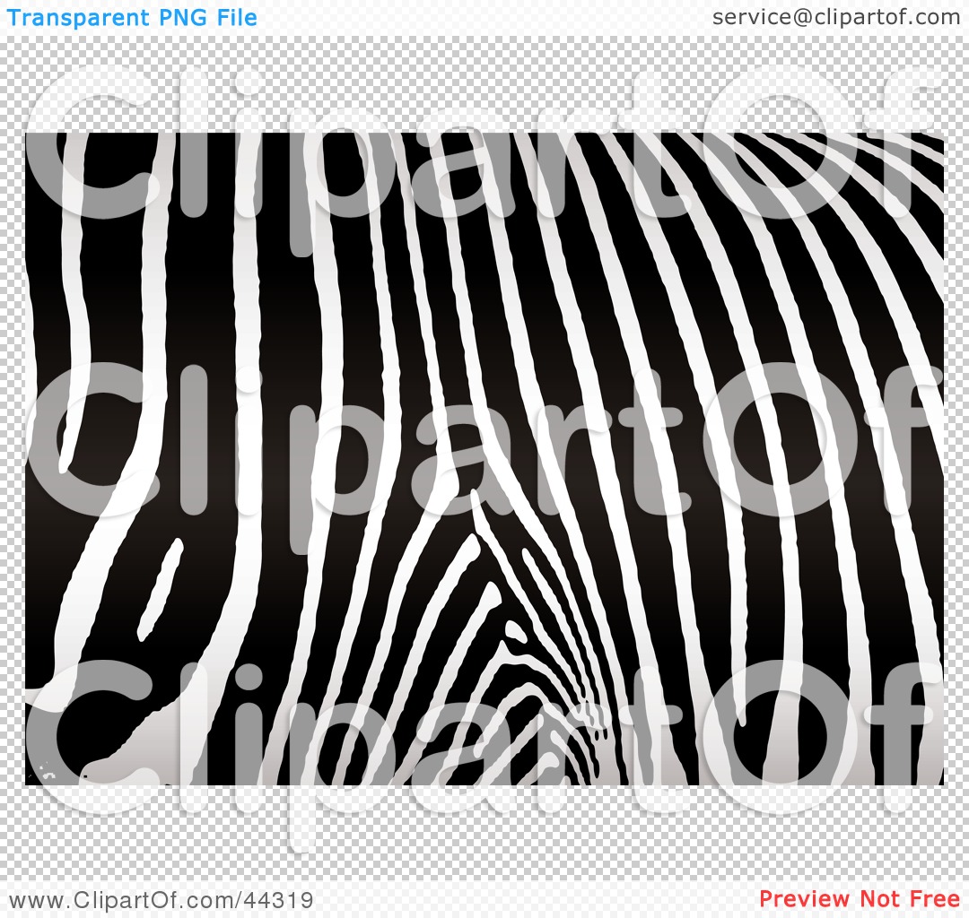 Real Zebra Pattern