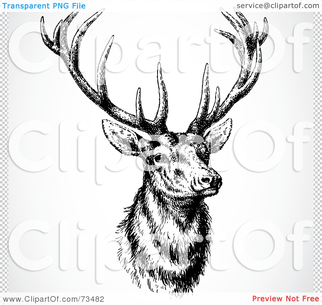 Clip Art Buck