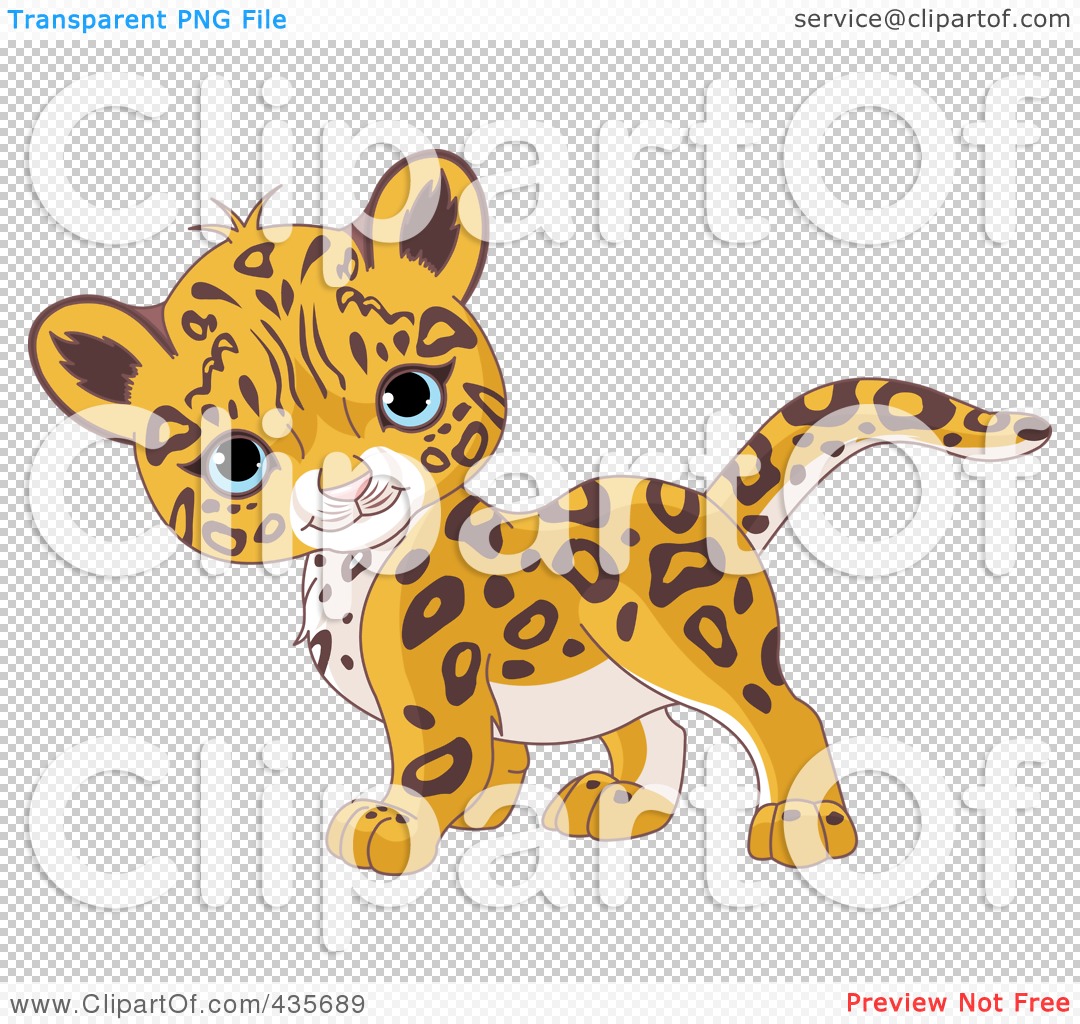 baby jaguar clipart - photo #30