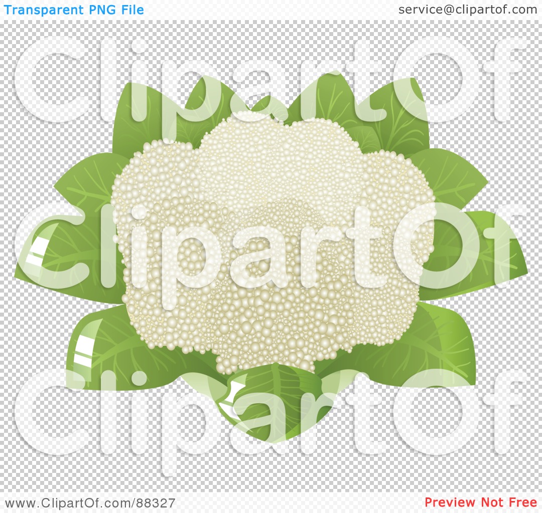 Clipart Cauliflower