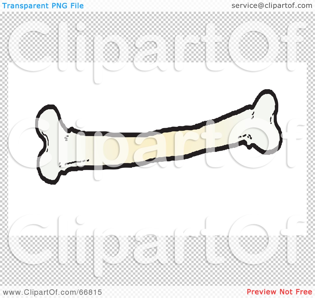 free clipart bone