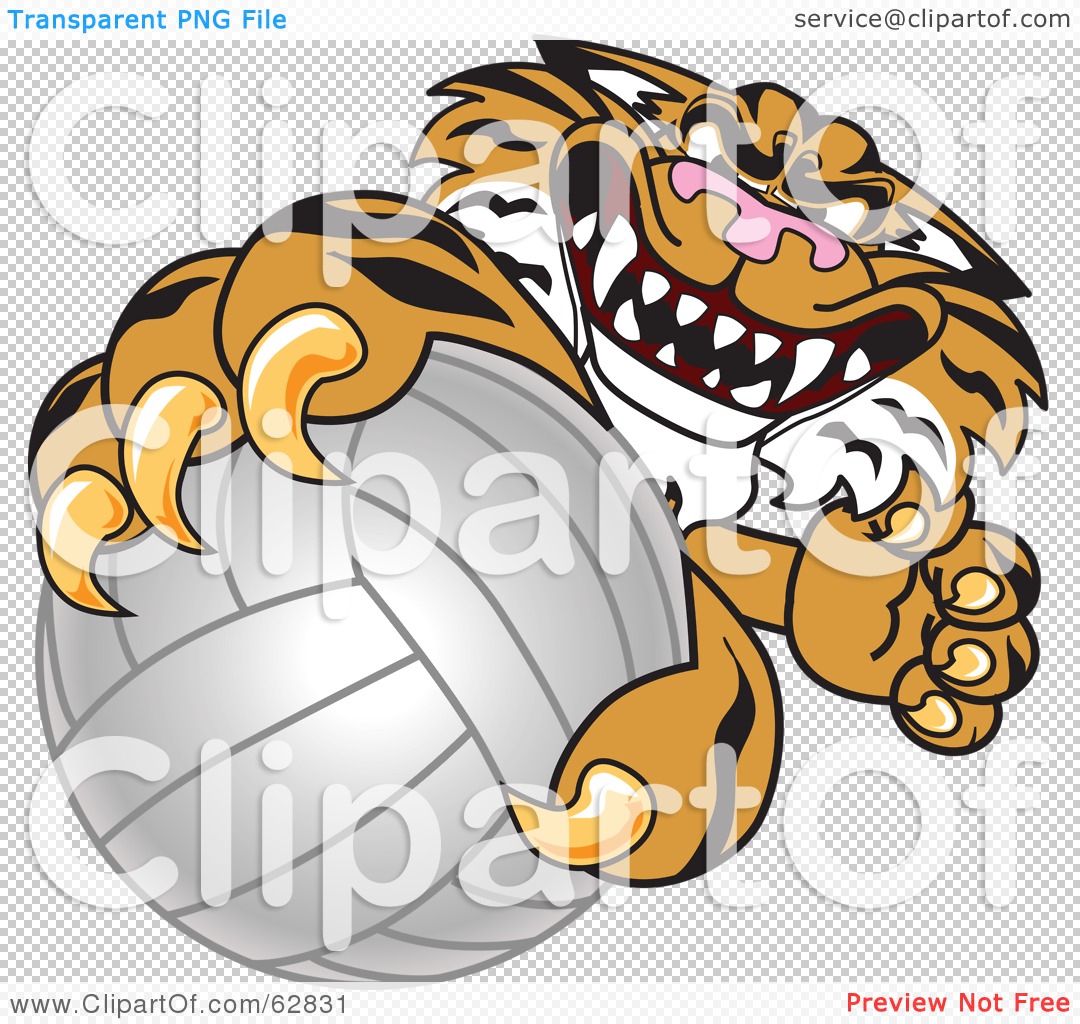 tiger volleyball clipart - photo #26