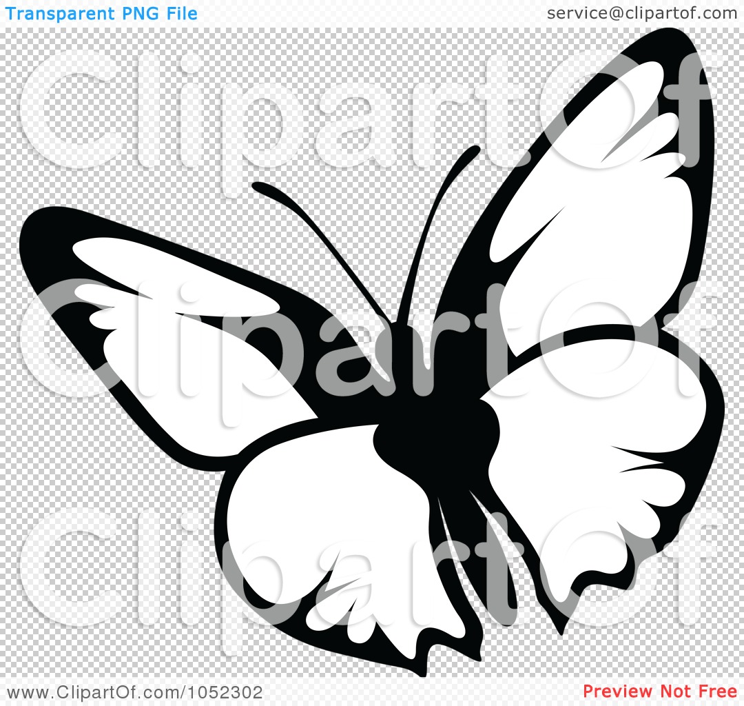 Black Butterfly Logo
