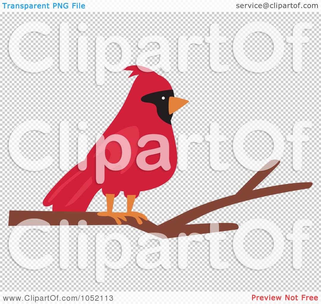 Royalty Free Vector Clip Art Illustration Of A Red Cardinal On A Branch