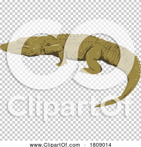 Transparent clip art background preview #COLLC1809014
