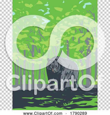 Transparent clip art background preview #COLLC1790289
