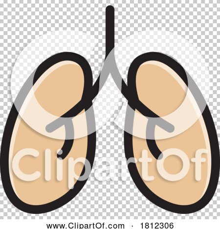 Transparent clip art background preview #COLLC1812306