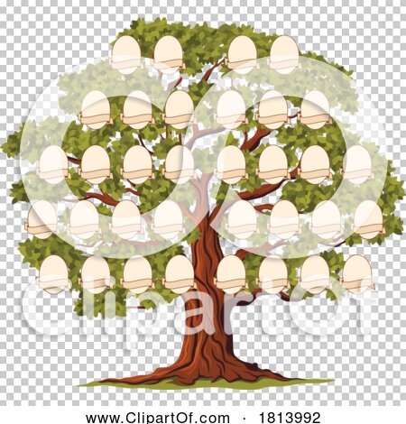 Transparent clip art background preview #COLLC1813992