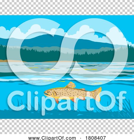 Transparent clip art background preview #COLLC1808407