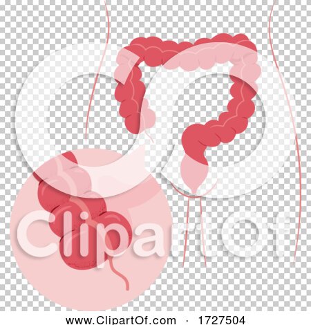 Transparent clip art background preview #COLLC1727504