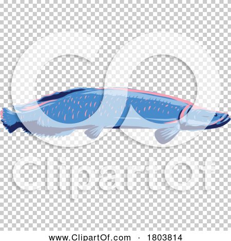 Transparent clip art background preview #COLLC1803814