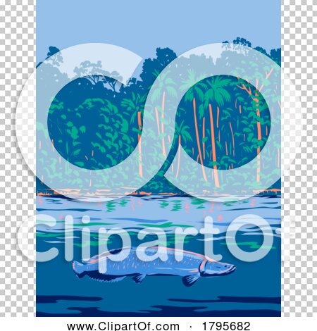 Transparent clip art background preview #COLLC1795682