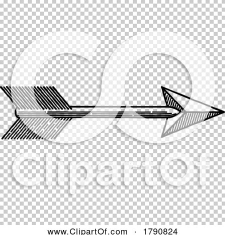 Transparent clip art background preview #COLLC1790824