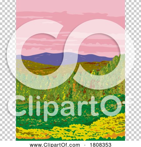 Transparent clip art background preview #COLLC1808353