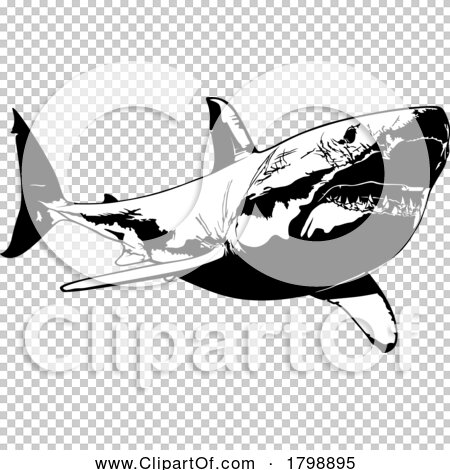 Transparent clip art background preview #COLLC1798895