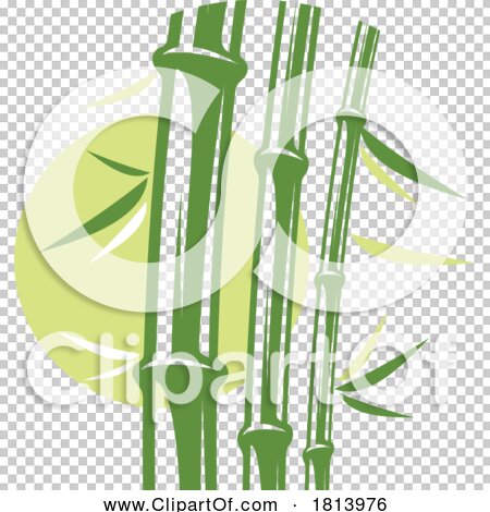 Transparent clip art background preview #COLLC1813976