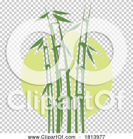 Transparent clip art background preview #COLLC1813977