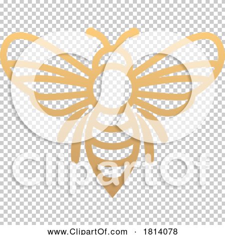 Transparent clip art background preview #COLLC1814078