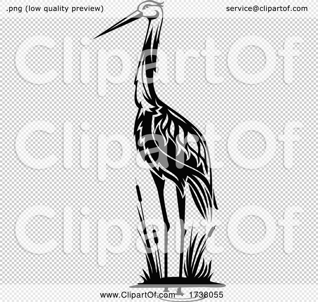 Black and White Heron by Vector Tradition SM #1738055