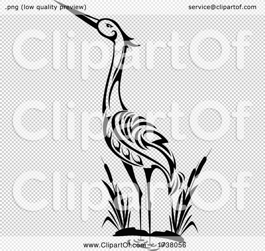 Black and White Heron by Vector Tradition SM #1738056