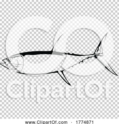 Transparent clip art background preview #COLLC1774871
