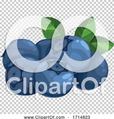 Transparent clip art background preview #COLLC1714823