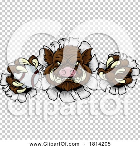 Transparent clip art background preview #COLLC1814205