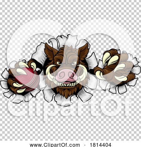 Transparent clip art background preview #COLLC1814404