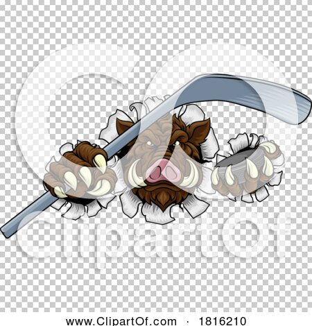 Transparent clip art background preview #COLLC1816210