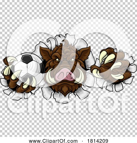 Transparent clip art background preview #COLLC1814209