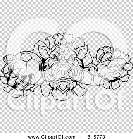 Transparent clip art background preview #COLLC1816773