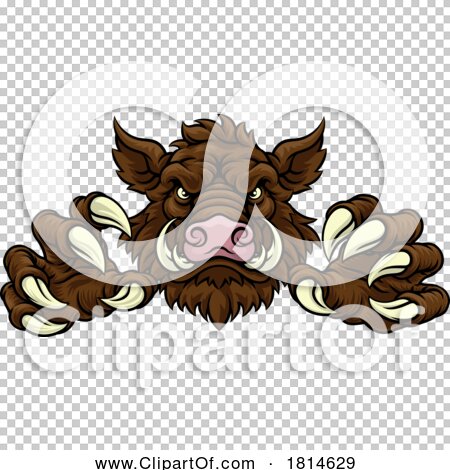 Transparent clip art background preview #COLLC1814629