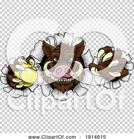 Transparent clip art background preview #COLLC1814615