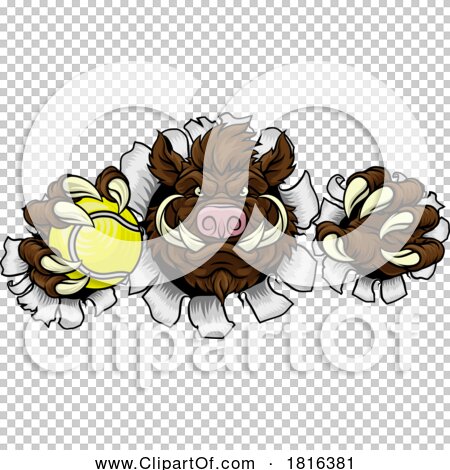 Transparent clip art background preview #COLLC1816381