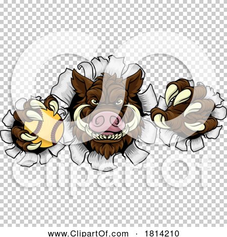 Transparent clip art background preview #COLLC1814210