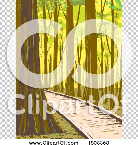 Transparent clip art background preview #COLLC1808368