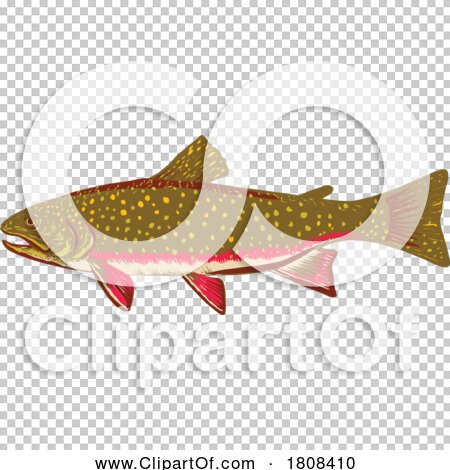 Transparent clip art background preview #COLLC1808410