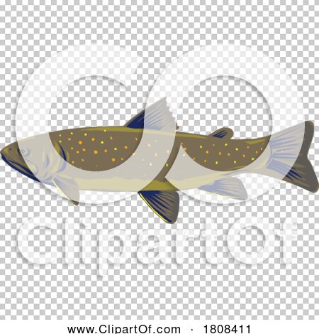 Transparent clip art background preview #COLLC1808411