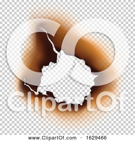 Transparent clip art background preview #COLLC1629466