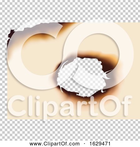 Transparent clip art background preview #COLLC1629471