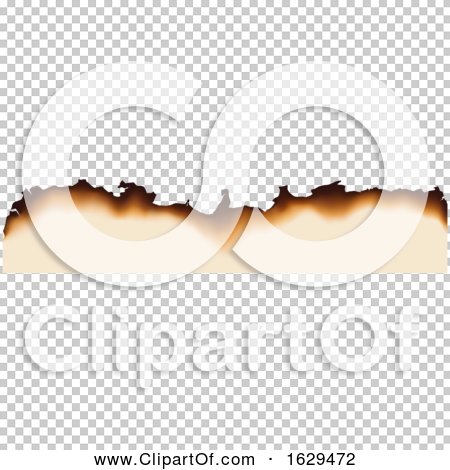 Transparent clip art background preview #COLLC1629472