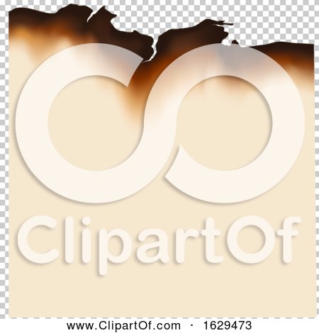 Transparent clip art background preview #COLLC1629473